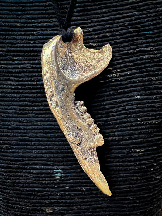 Wallaby Jaw Pendant